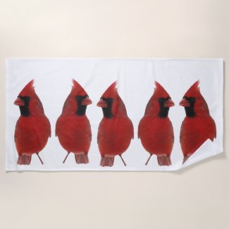 Red Cardinal Birds Beach Towel