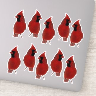 Red Cardinal Birds Contour Sticker