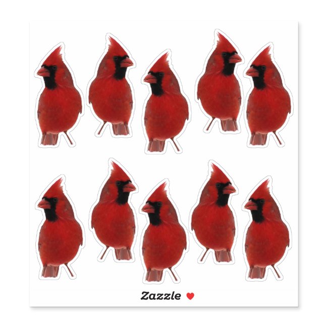 Red Cardinal Birds Contour Sticker