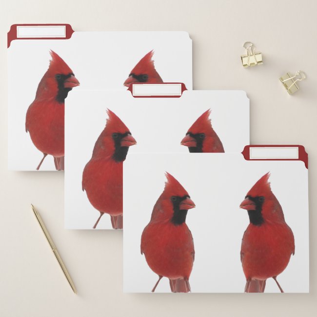 Red Cardinal Birds File Folder Set