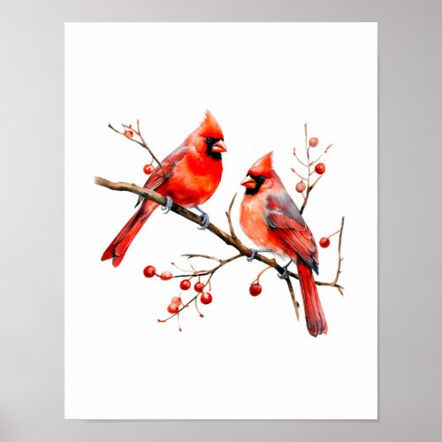 Red Cardinal Birds on Holly Tree Branch Poster