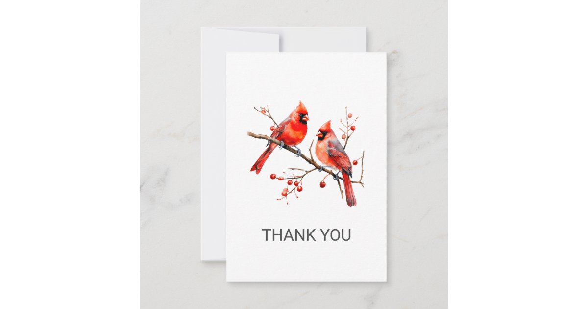 Red Cardinal Birds on Holly Tree Branch Thank You Card | Zazzle