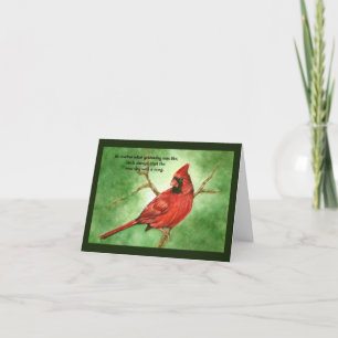 Red Cardinal Card