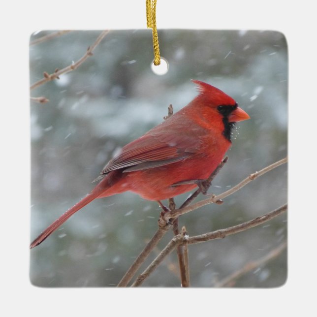 Red Cardinal Ceramic Ornament (Front)