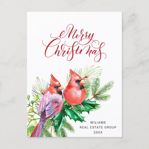 Red Cardinal Christmas Corporate Greeting Holiday  Postcard