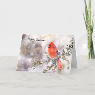 Red Cardinal Christmas Folded Holiday Card