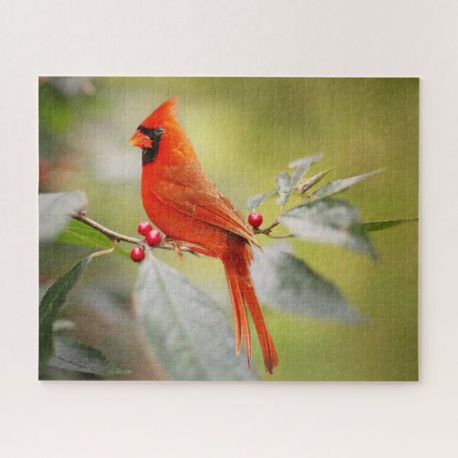Red Cardinal Christmas Holidays Nature Jigsaw Puzzle (Horizontal)
