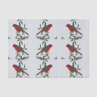 Red Cardinal Christmas Tissue Paper