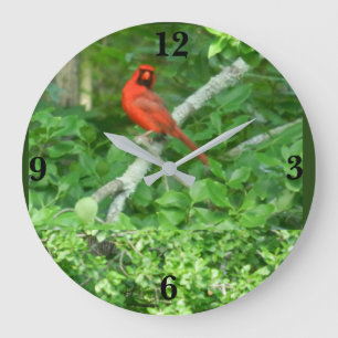 RED CARDINAL clock