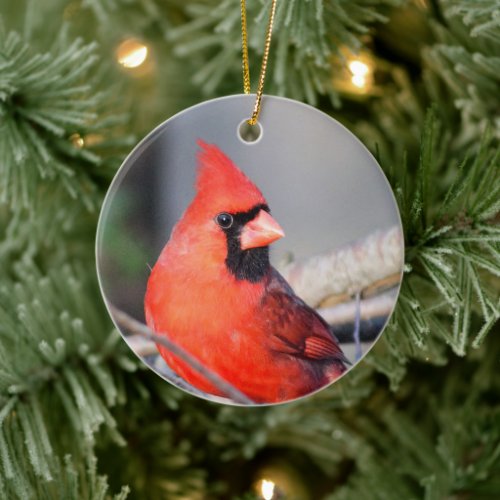 Red Cardinal Crest Ceramic Ornament