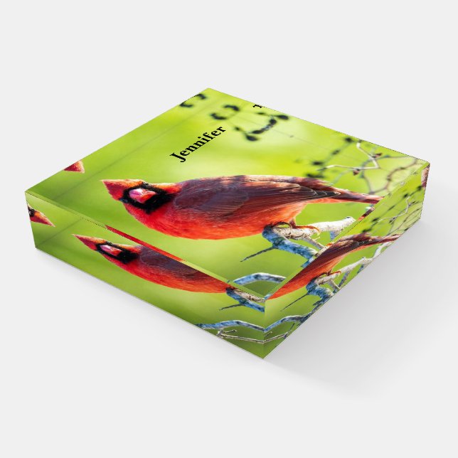 Red Cardinal Customize Name Personal Greeting Paperweight (Angled)