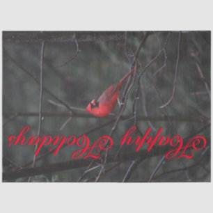 Red Cardinal Designer Tissue Paper