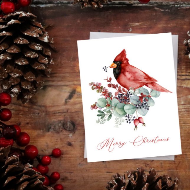 Red Cardinal, Eucalyptus, Greenery Christmas (Creator Uploaded)