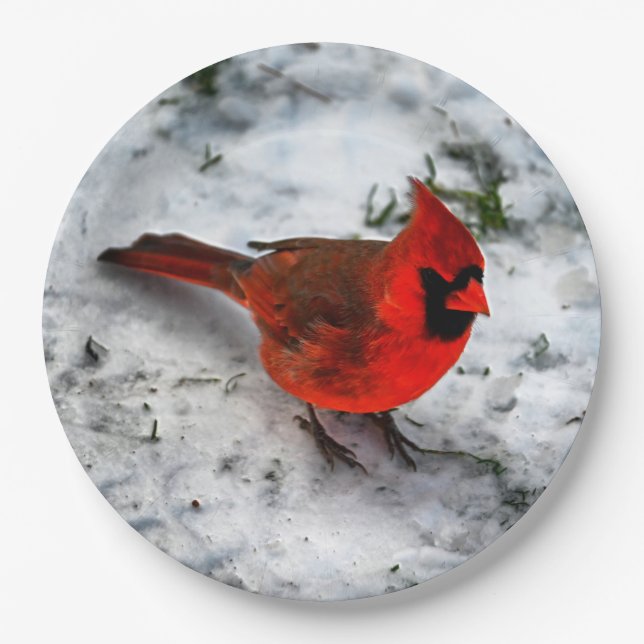 Red Cardinal Feathers and Plumage Paper Plates (Front)