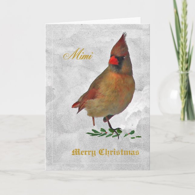 Red Cardinal female from front in snow w holly--tw Holiday Card (Front)
