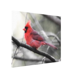 Red Cardinal, Gray Day Photography Canvas Print