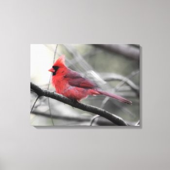 Red Cardinal  Gray Day Photography Canvas Print by time2see at Zazzle