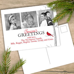 Red Cardinal holiday Christmas Woodland 3 Photo