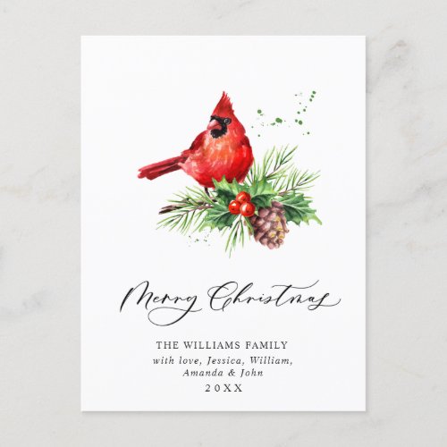 Red Cardinal Holly Berry Christmas Holiday  Postcard