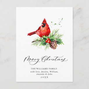 Red Cardinal Holly Berry Christmas Holiday Postcard