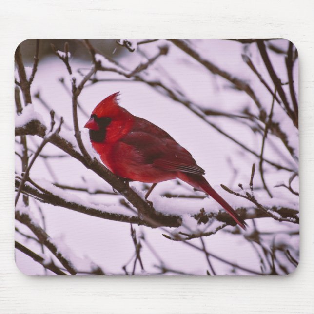 Red Cardinal in a Snow Filled Tree Mouse Pad (Front)