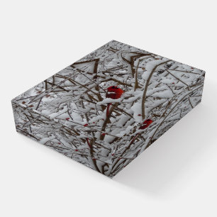 Red Cardinal in a Snow Filled Tree Paperweight