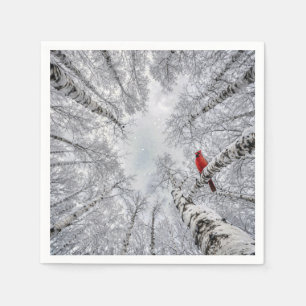 Red Cardinal In a Winter White Birch Forest Napkins