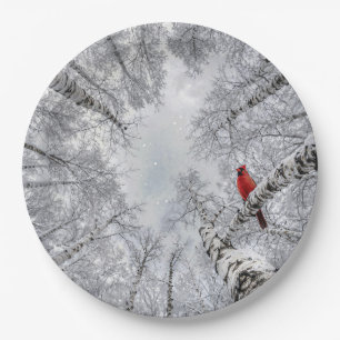 Red Cardinal In a Winter White Birch Forest Paper Plates
