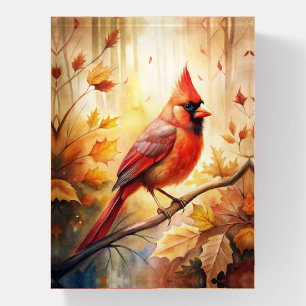 Red Cardinal in Autumn Fall Paperweight