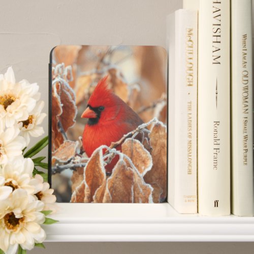 Red Cardinal in Frosty Autumn Leaves Kindle Cover