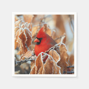 Red Cardinal in Frosty Autumn Leaves Napkins