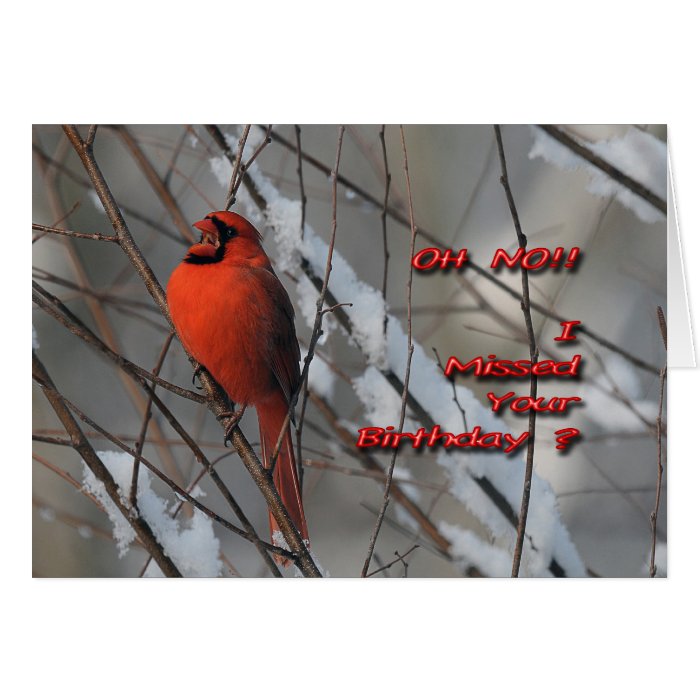 Red Cardinal In Snow   Belated Birthday Card