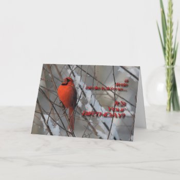 Red Cardinal In Snow - Birthday Card by LoisBryan at Zazzle