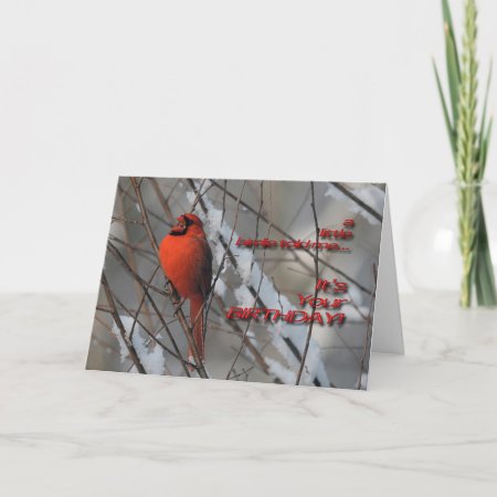 Red Cardinal In Snow - Birthday Card
