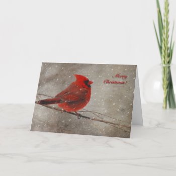 Red Cardinal In Snow - Christmas Card by LoisBryan at Zazzle