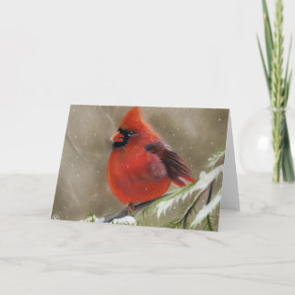 Red Cardinal in snow christmas card