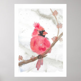 Red Cardinal in Snow Poster