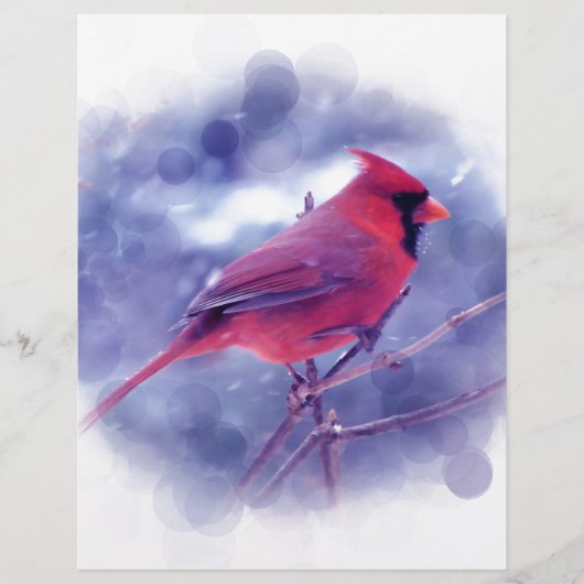 Red Cardinal in the Blizzard (Front)