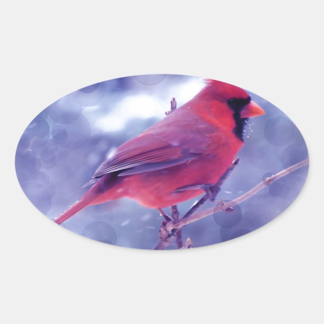 Red Cardinal in the Blizzard Oval Sticker (Front)