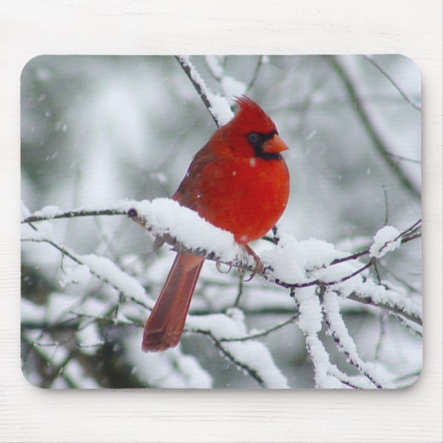 Red Cardinal in the Snow Mousepad (Front)