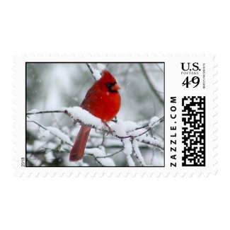 Red Cardinal in the Snow Postage Stamps