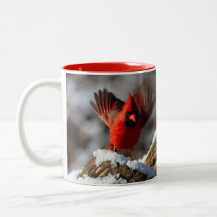 Red Cardinal in the Snow Two-Tone Coffee Mug