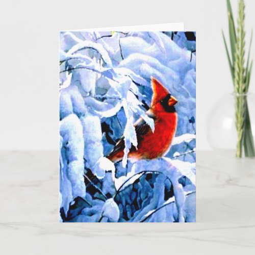 Red Cardinal In the Winter Snow Holiday Card