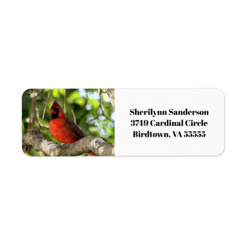 Red Cardinal in Tree Label