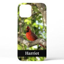 Red Cardinal in Tree Personalized
