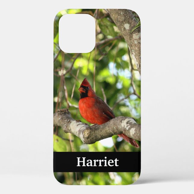 Red Cardinal in Tree Personalized Case-Mate iPhone Case (Back)