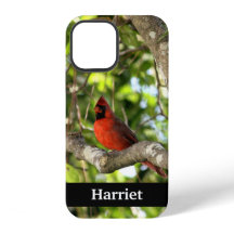 Red Cardinal in Tree Personalized