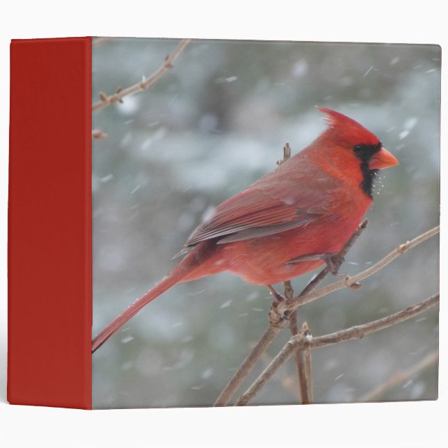Red cardinal in Winter Binder (Front/Spine)
