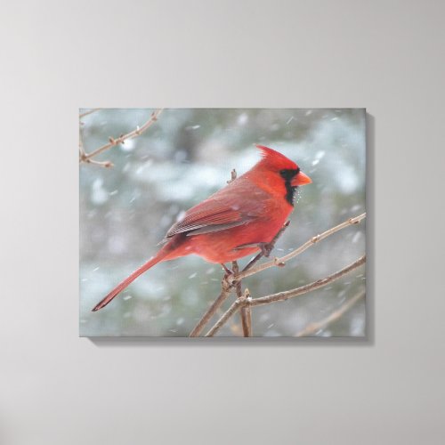 Red cardinal in Winter Canvas Print