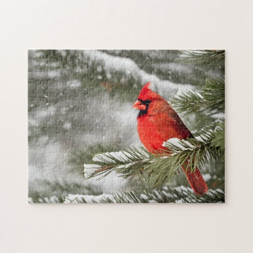 Red Cardinal In Winter Jigsaw Puzzle